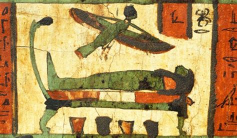 “The Legend of the Lost Lotus” Reveals Ancient Egyptian Beliefs About Death and Rebirth!