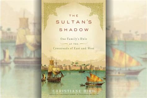 The Sultan's Shadow - A Whimsical Tale of Hidden Identities and Unexpected Consequences!