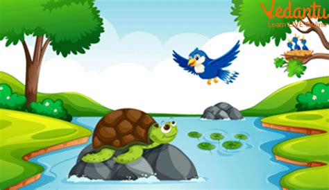 The Tortoise and the Bird: A Story About Unlikely Friendships and Clever Trickery!