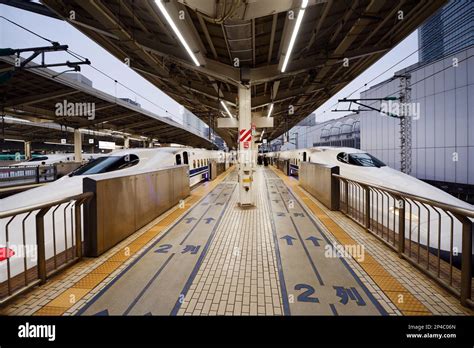 横浜駅 ドラッグストア で見つけた未来のヒント